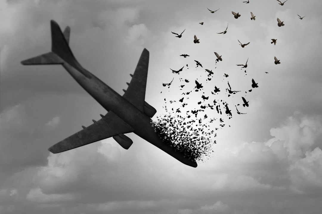 Image for Flight 349